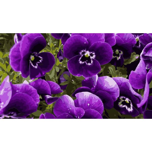 

Картина по номерам Art Craft Фиалковая эйфория 40*50 см 13108-AC