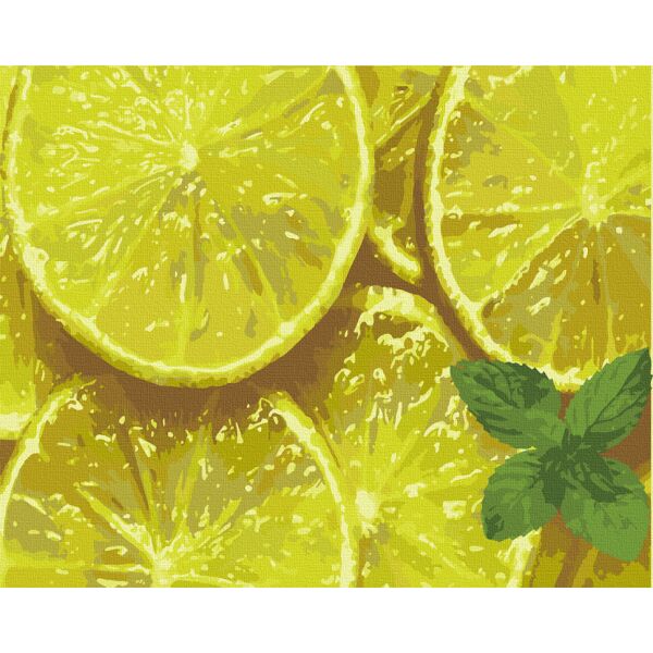 

Картина по номерам Art Craft Мятный цитрус 40*50 см 12014-AC