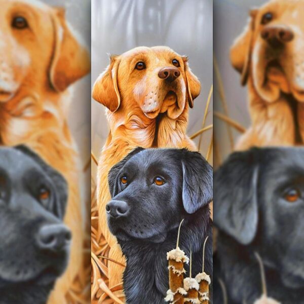 

Алмазная вышивка Пара лабрадоров 100х40 The Wortex Diamonds (TWD21002)