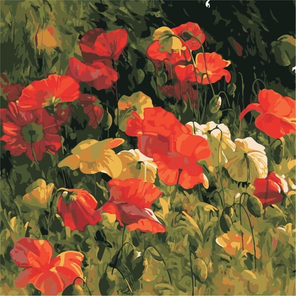 

Картина по номерам ArtStory Бархатные маки 40*40см