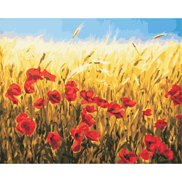 

Картина по номерам Літнє поле, 40x50 см., Art Story