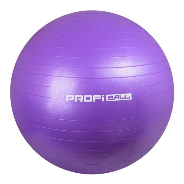 

Мяч для фитнеса Profi 65 см фиолетовый (M 0276-violet)