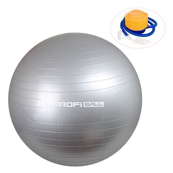

Мяч для фитнеса с насосом Profi 55 см серый (MS1539-gray)