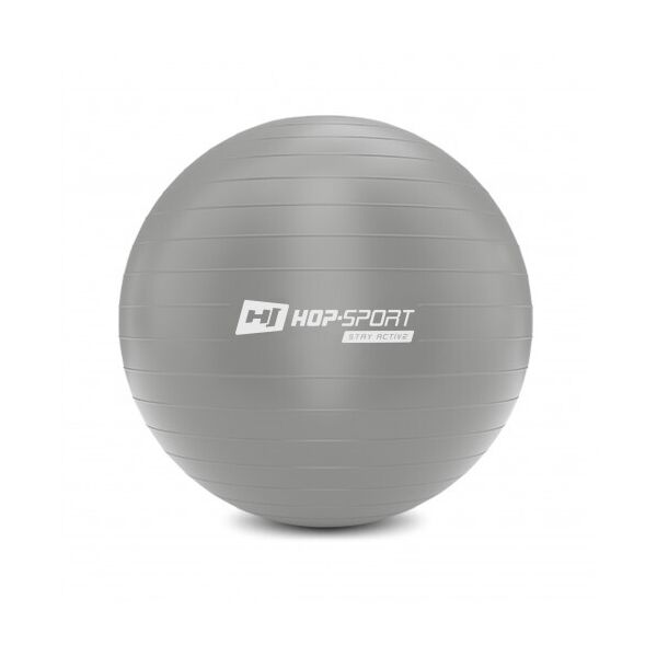 

Фитбол Hop-Sport 65 см серебристый с насосом 2020 (HS-R065YB)