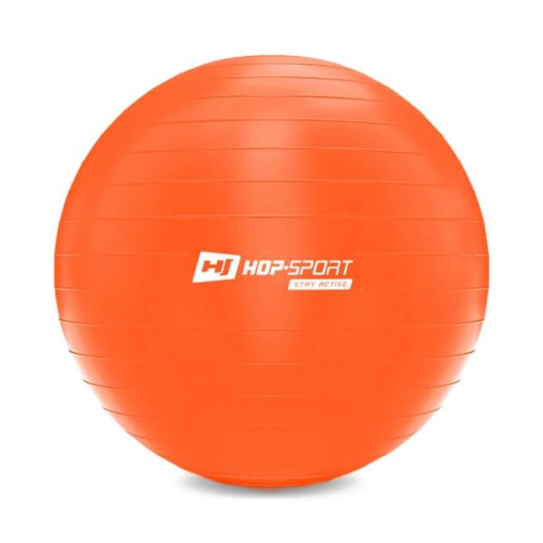 

Фитбол Hop-Sport 65 см оранжевый с насосом 2020 (HS-R065YB)