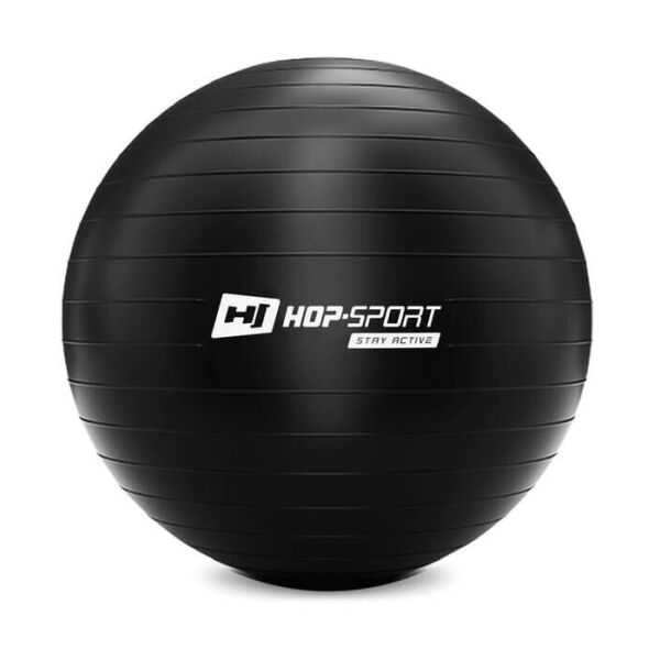 

Фитбол Hop-Sport 75 см черный с насосом 2020 (HS-R075YB)