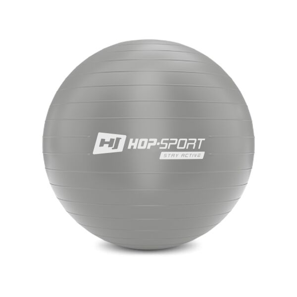 

Фитбол Hop-Sport 55 см серебристый с насосом 2020 (HS-R055YB)
