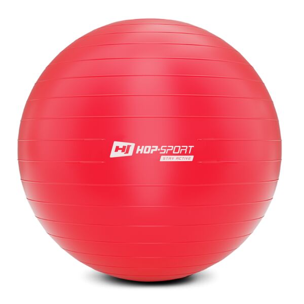 

Фитбол Hop-Sport 85 см красный с насосом 2020 (HS-R085YB)