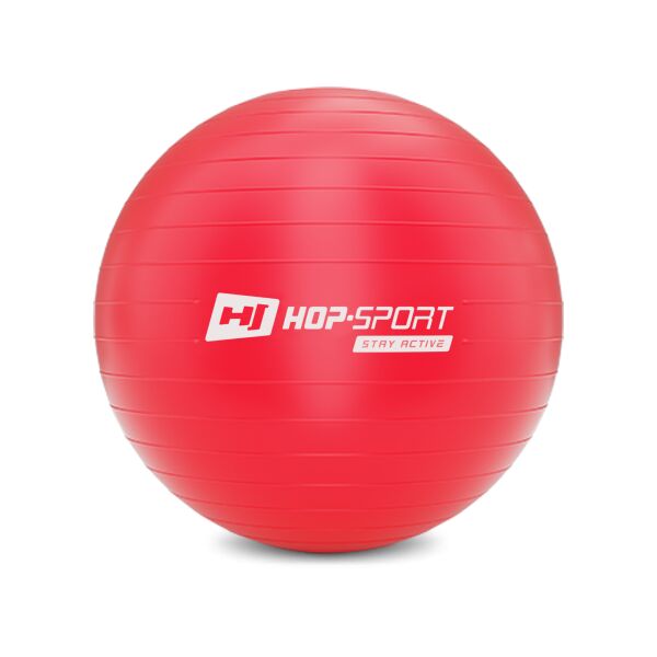 

Фитбол Hop-Sport 55 см красный с насосом 2020 (HS-R055YB)