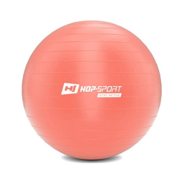 

Фитбол Hop-Sport 55 см розовый с насосом 2020 (HS-R055YB)