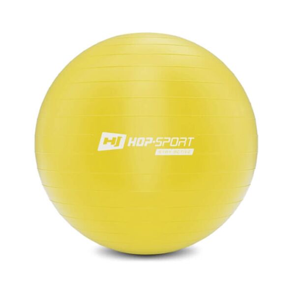 

Фитбол Hop-Sport 55 см желтый с насосом 2020 (HS-R055YB)