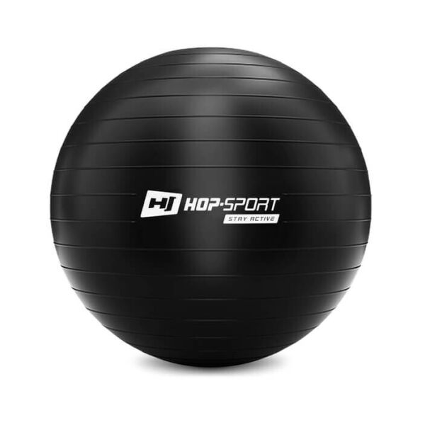 

Фитбол Hop-Sport 55 см черный с насосом 2020 (HS-R055YB)