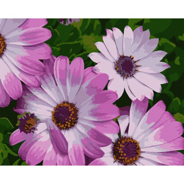 

Картина по номерам Art Craft Африканские ромашки 40*50 см 13113-AC