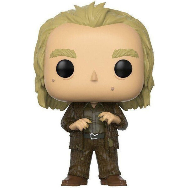 

Фигурка Funko Pop Harry Potter Peter Pettigrew Гарри Поттер Питер Петтигрю 10 см HP PP48