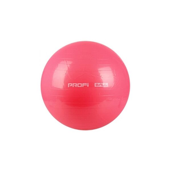 

Фитбол мяч для фитнеса ProfiBall 65 см красный