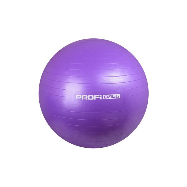 

Фитбол мяч для фитнеса ProfiBall 55 см фиолетовый