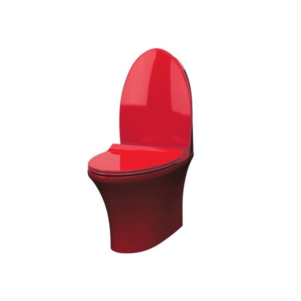 

Унитаз-компакт с функц. биде и сид. SC IDEVIT красный Rena SETK2904-0205-081-1-6200