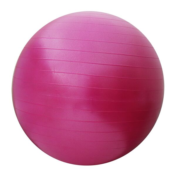 

Фитбол (SV-HK0289) SportVida 65 см Розовый