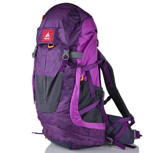 

Женский туристический рюкзак (W1638-violet) Onepolar 33х64х25 см Фиолетовый