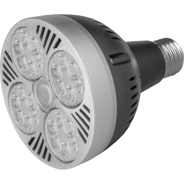 

Лампа светодиодная Brille LED E27 35W NW PAR30 (32-941)