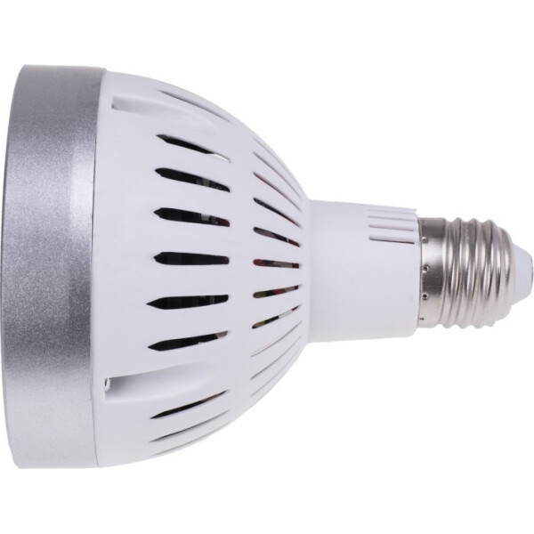 

Лампа светодиодная Brille LED E27 40W NW PAR30 (33-629)