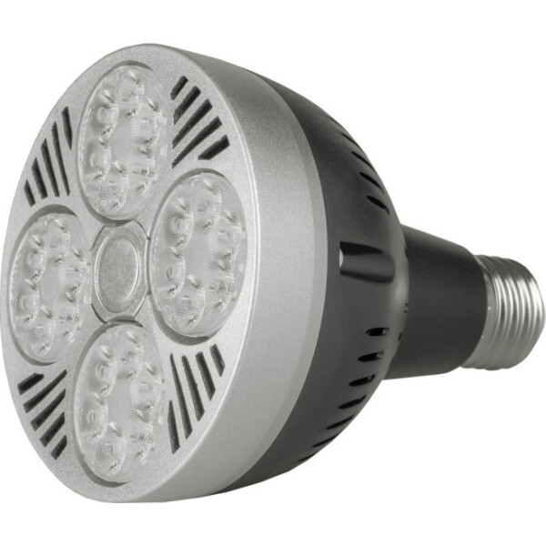 

Лампа светодиодная Brille LED E27 20W NW PAR30 (33-656)