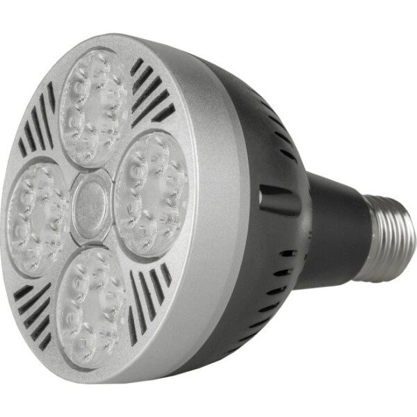 

Лампа светодиодная Brille LED E27 20W CW PAR30 (33-657)