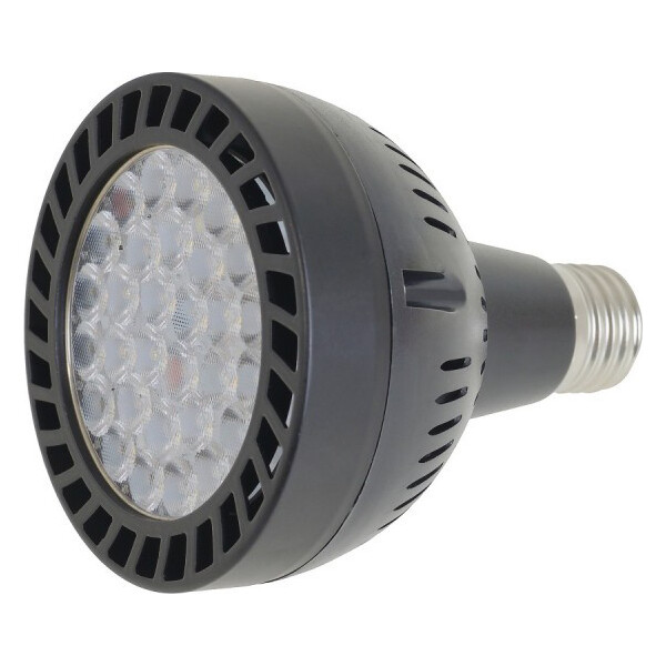 

Лампа светодиодная Brille LED E27 35W NW PAR30 (33-658)