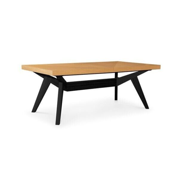 

Стол обеденный ATREVE BORNEO 160 Дуб, Черный