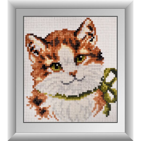 

30364M Зеленоглазый котенок. Dream Art. Набор алмазной живописи (квадратные, полная)