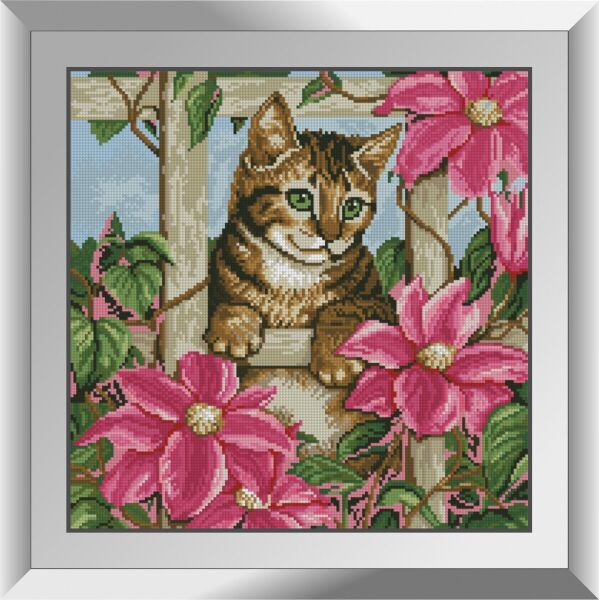 

31555 Любопытство котенка. Dream Art. Набор алмазной живописи (квадратные, полная)