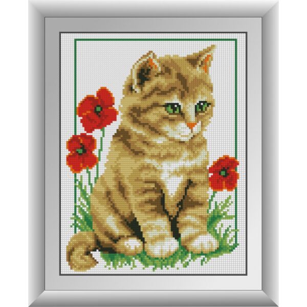

30142 Котёнок в маках. Dream Art. Набор алмазной живописи (квадратные, полная)