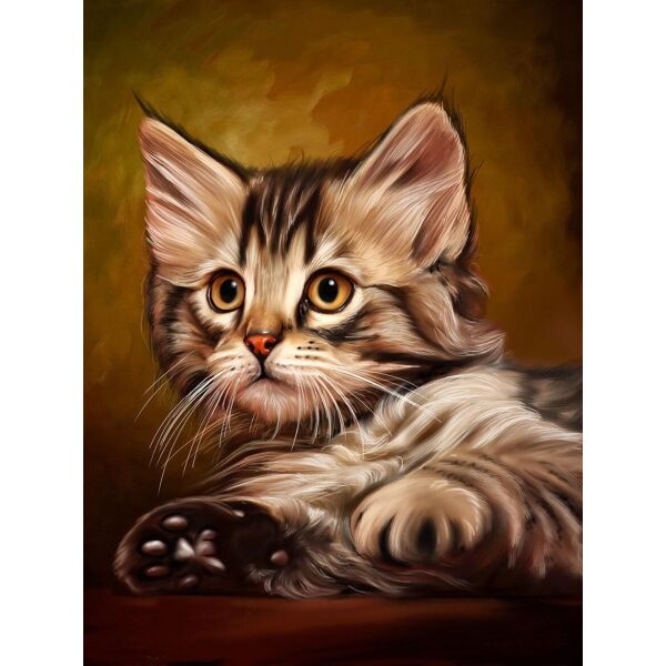 

Алмазная мозаика - Милый котенок 40x50 см