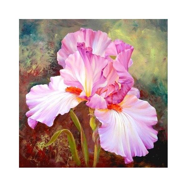 

Алмазная мозаика - Розовый ирис 40x40 см