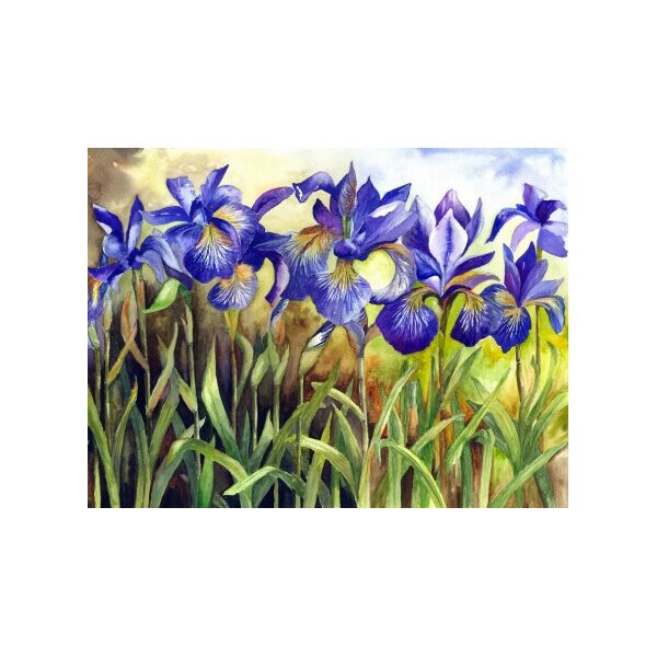 

Алмазная мозаика - Ирисы 30x40 см