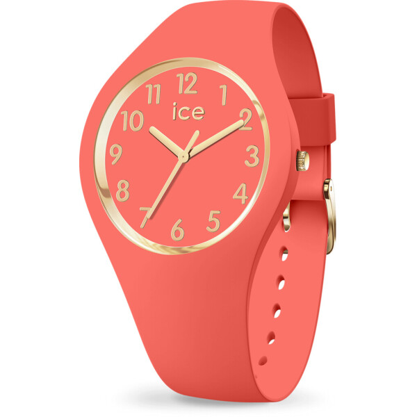 

Наручные часы Ice-Watch 017057
