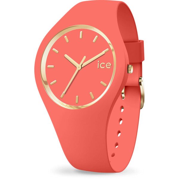 

Наручные часы Ice-Watch 017058