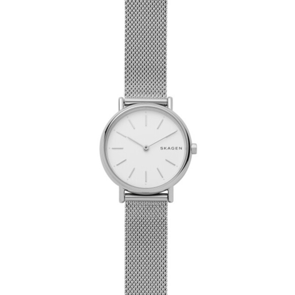 Наручные часы SKAGEN SKW2692