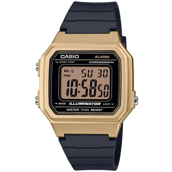 

Наручные часы CASIO W-217HM-9AVEF