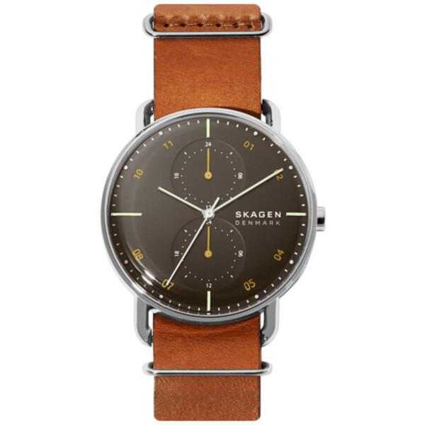 Наручные часы SKAGEN SKW6537