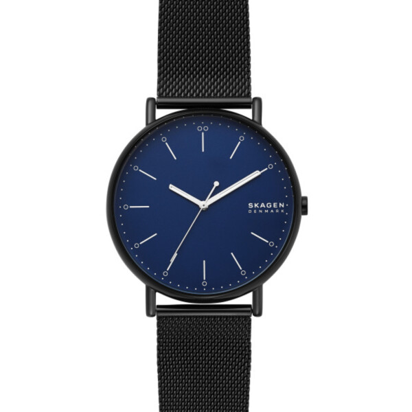 

Наручные часы SKAGEN SKW6529