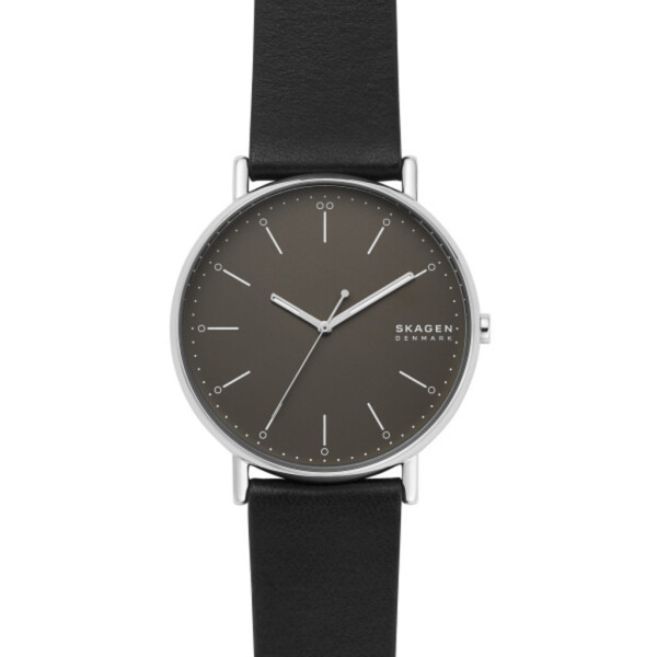 

Наручные часы SKAGEN SKW6528