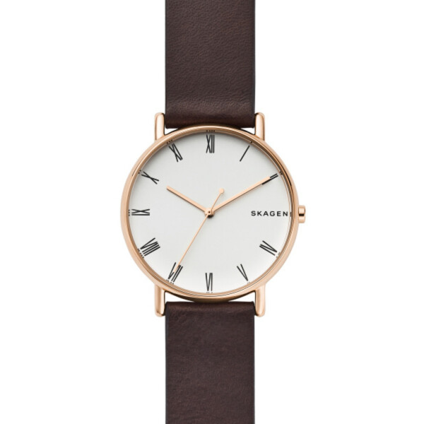 

Наручные часы SKAGEN SKW6493