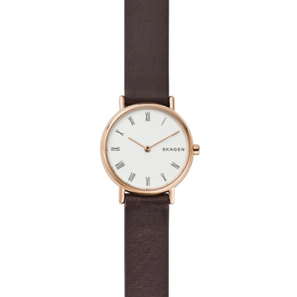 

Наручные часы SKAGEN SKW2760