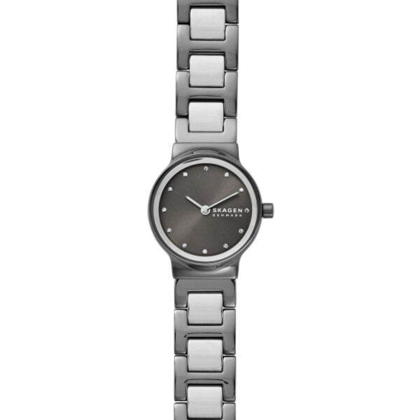 

Наручные часы SKAGEN SKW2831