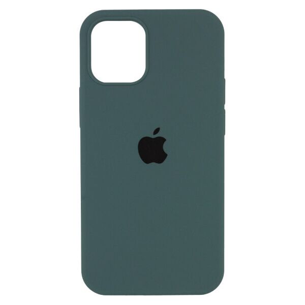 

Чехол Silicone Case Full Protective (AA) для Apple iPhone 12 Pro Max (6.7") (CadetBlue)
