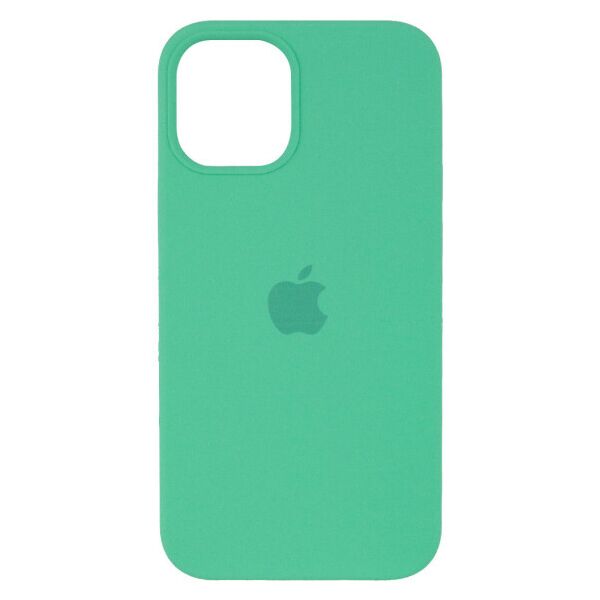 

Чехол Silicone Case (AA) для Apple iPhone 12 Pro Max (6.7") (Aquamarine)