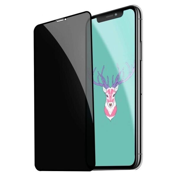 

Защитное стекло для Apple iPhone X/XS/11 Pro Full Glue Анти-шпион (0.3 мм, 2.5D, чёрное) (Черный)
