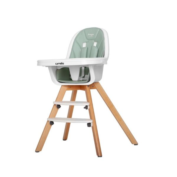 

Стульчик для кормления Carrello Prego CRL-9504/1 Ash Green (CRL-9504/1)