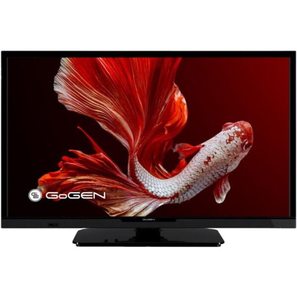 

GoGEN TVH 24P452T